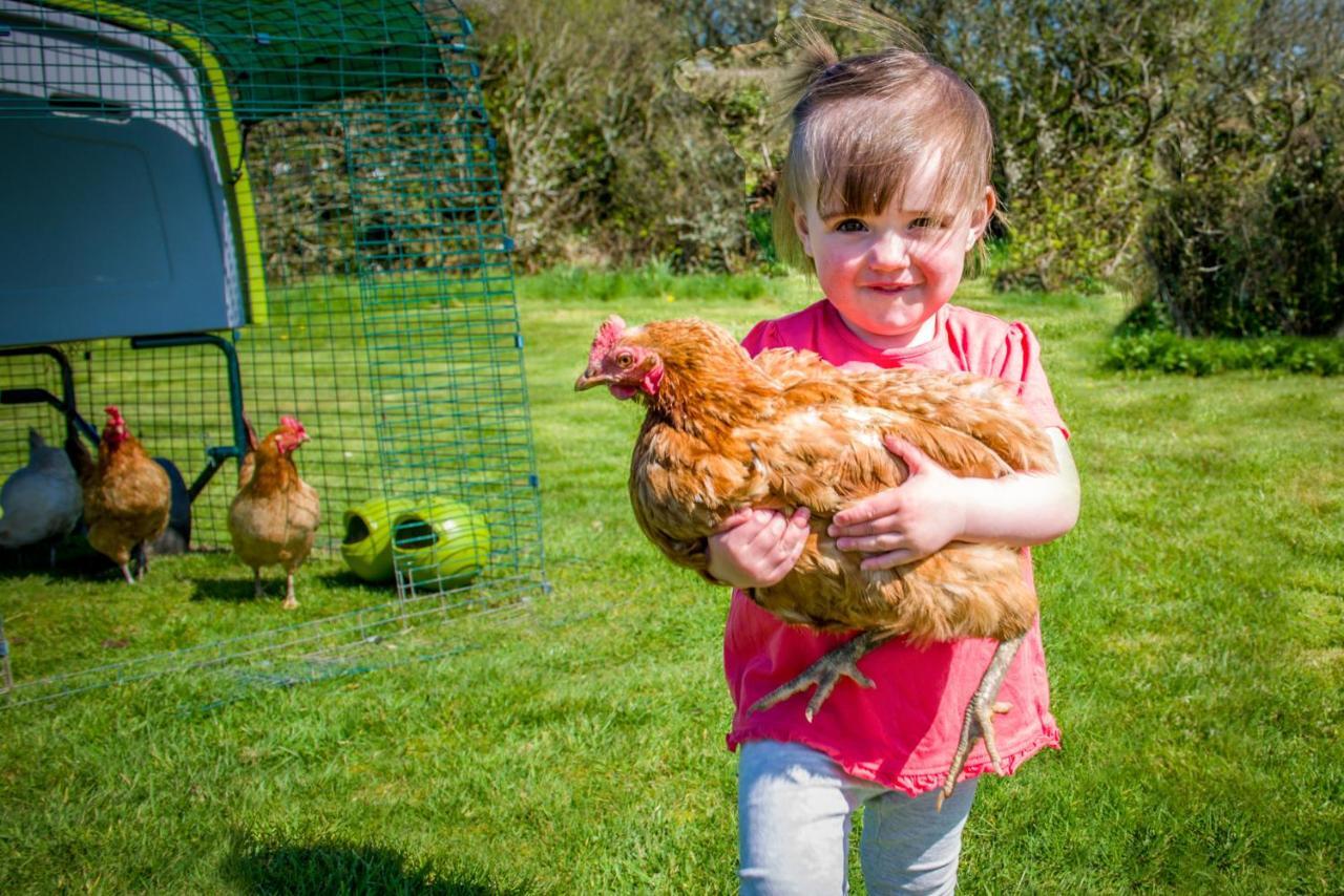 Cargurra Park Farm Boscastle
